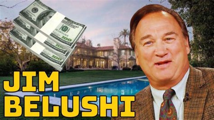 How Much Money Does Billy Belushi Make? Latest Billy Belushi Net Worth Income Salary