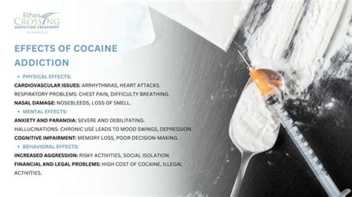 Is Vincent Shogun In Prison For Drugs Use? Cocaine Controversy And Details