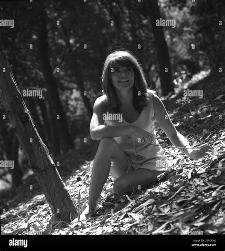 Leave It To Beaver: Who Was Actress Diane Sayer? Wikipedia Bio -Everything To Know