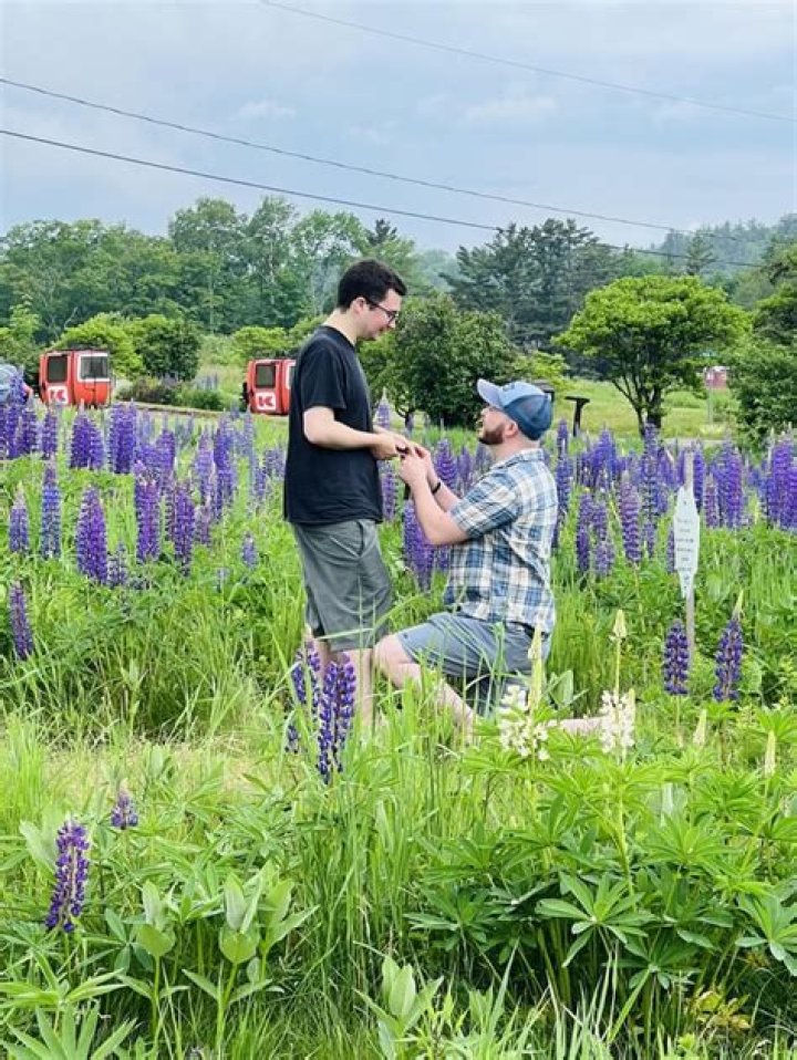 Meet Chris Wilding Boyfriend Howard Stern: Learn Everything About Him On Instagram