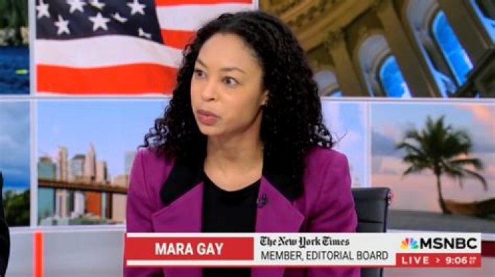 MSNBC: Mara Gay Journalist Wikipedia and Biography, Parents and Husband Details To Follow
