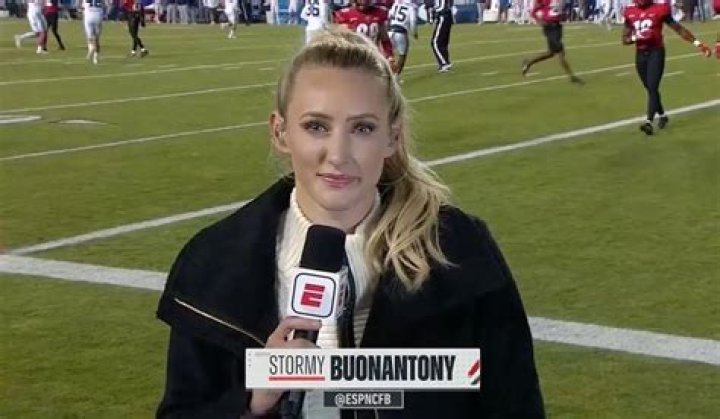 Reporter Stormy Buonantony Wikipedia – Is She Married?