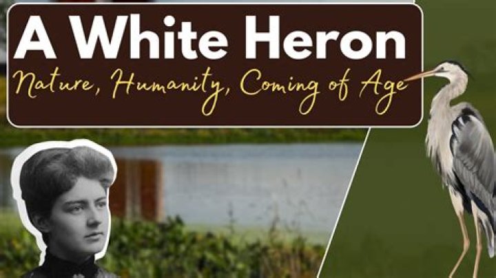 Where Is Peter Heron Darlington Now? Wife Ann Heron Story and Michael Benson Conviction